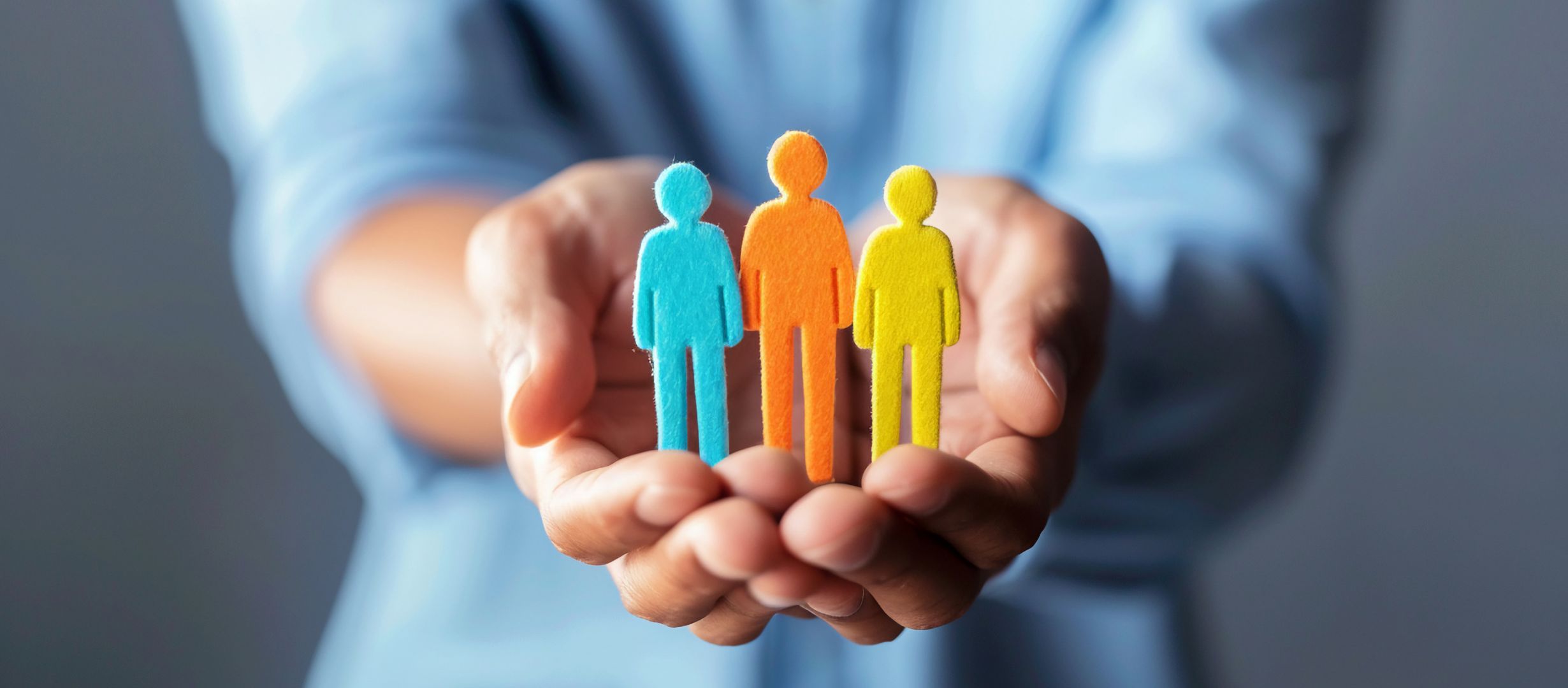 Labour and Employment Law